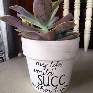 Meet your Posher, M.